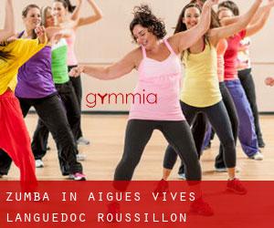Zumba in Aigues-Vives (Languedoc-Roussillon)
