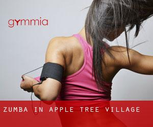 Zumba in Apple Tree Village