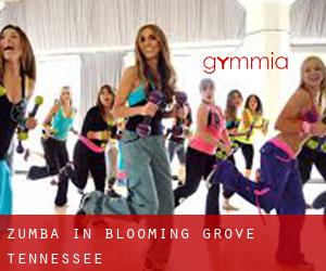 Zumba in Blooming Grove (Tennessee)