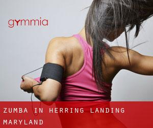 Zumba in Herring Landing (Maryland)