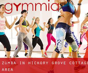 Zumba in Hickory Grove Cottage Area