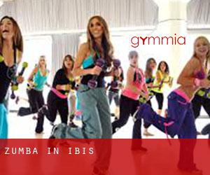 Zumba in Ibis