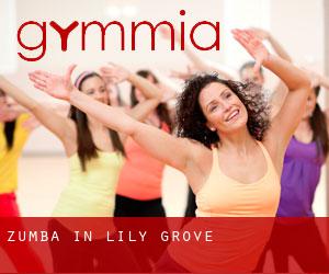 Zumba in Lily Grove
