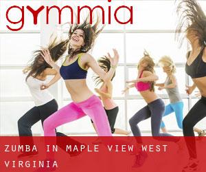 Zumba in Maple View (West Virginia)