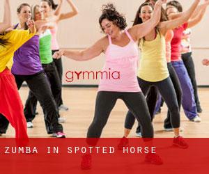 Zumba in Spotted Horse