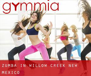Zumba in Willow Creek (New Mexico)