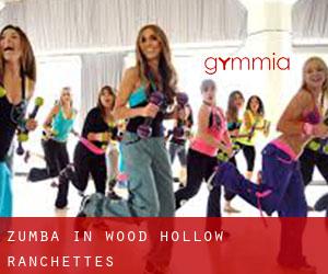 Zumba in Wood Hollow Ranchettes