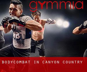 BodyCombat in Canyon Country