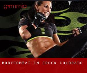 BodyCombat in Crook (Colorado)