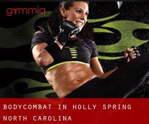 BodyCombat in Holly Spring (North Carolina)