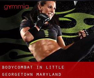 BodyCombat in Little Georgetown (Maryland)