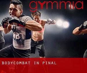 BodyCombat in Pinal