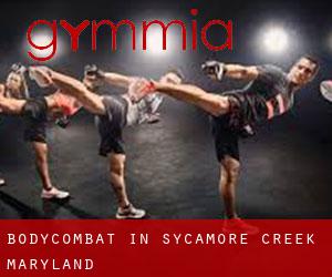 BodyCombat in Sycamore Creek (Maryland)