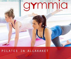 Pilates in Allakaket