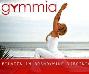Pilates in Brandywine (Virginia)