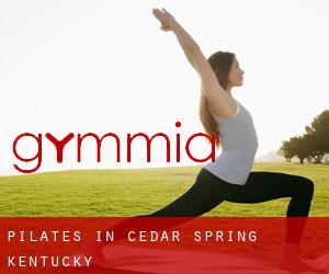 Pilates in Cedar Spring (Kentucky)