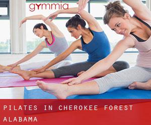 Pilates in Cherokee Forest (Alabama)