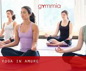 Yoga in Amuré