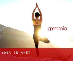 Yoga in Anet