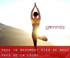 Yoga in Beaumont-Pied-de-Bœuf (Pays de la Loire)