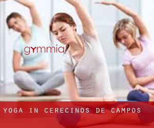 Yoga in Cerecinos de Campos