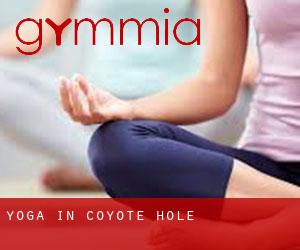 Yoga in Coyote Hole