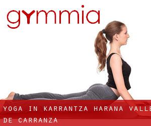 Yoga in Karrantza Harana / Valle de Carranza