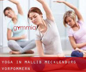 Yoga in Malliß (Mecklenburg-Vorpommern)