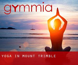 Yoga in Mount Trimble