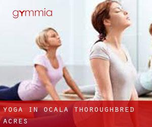 Yoga in Ocala Thoroughbred Acres