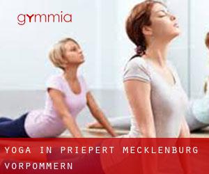 Yoga in Priepert (Mecklenburg-Vorpommern)