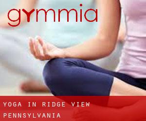 Yoga in Ridge View (Pennsylvania)