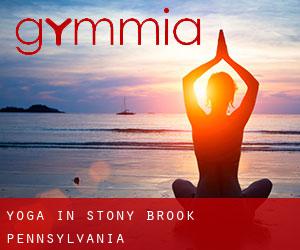Yoga in Stony Brook (Pennsylvania)