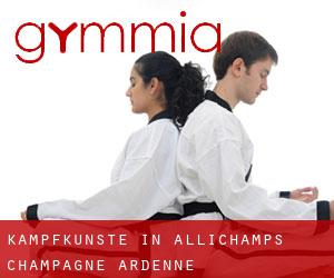 Kampfkünste in Allichamps (Champagne-Ardenne)