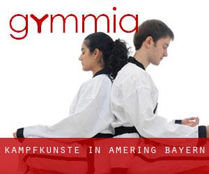 Kampfkünste in Amering (Bayern)