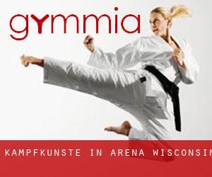 Kampfkünste in Arena (Wisconsin)