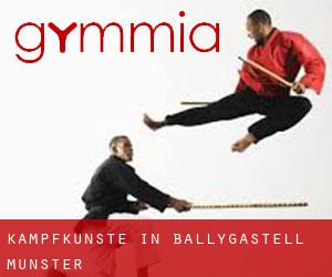 Kampfkünste in Ballygastell (Munster)