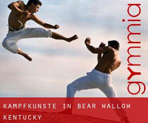 Kampfkünste in Bear Wallow (Kentucky)