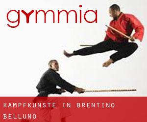 Kampfkünste in Brentino Belluno