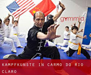 Kampfkünste in Carmo do Rio Claro