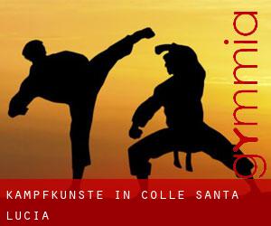 Kampfkünste in Colle Santa Lucia