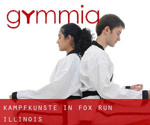 Kampfkünste in Fox Run (Illinois)