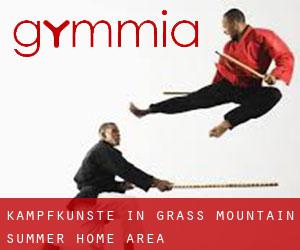Kampfkünste in Grass Mountain Summer Home Area