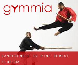 Kampfkünste in Pine Forest (Florida)