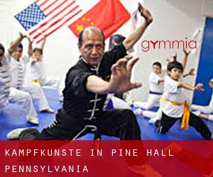 Kampfkünste in Pine Hall (Pennsylvania)