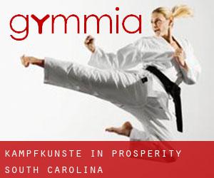 Kampfkünste in Prosperity (South Carolina)