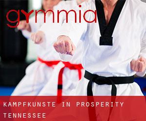 Kampfkünste in Prosperity (Tennessee)