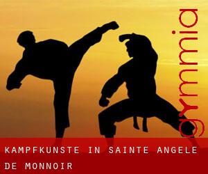 Kampfkünste in Sainte-Angèle-de-Monnoir