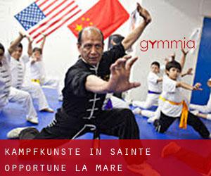 Kampfkünste in Sainte-Opportune-la-Mare