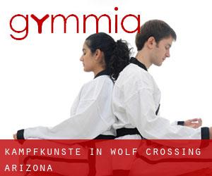 Kampfkünste in Wolf Crossing (Arizona)